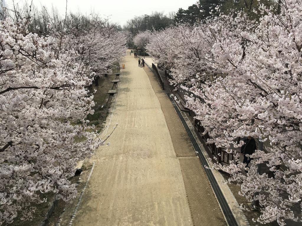 Seoul Forest Guesthouse Екстериор снимка