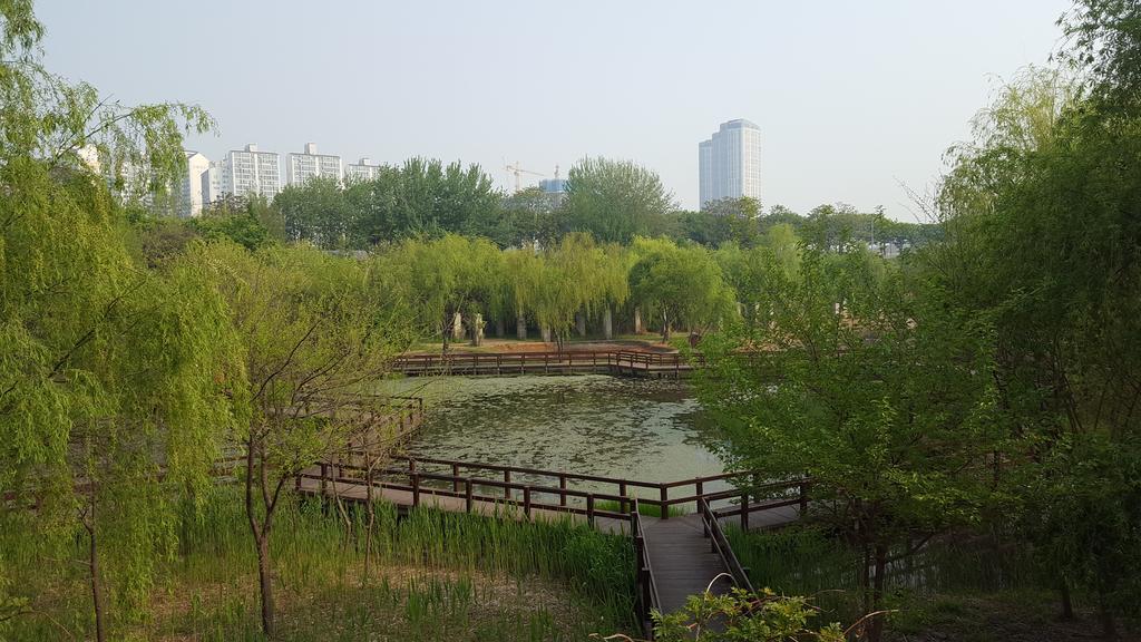 Seoul Forest Guesthouse Екстериор снимка