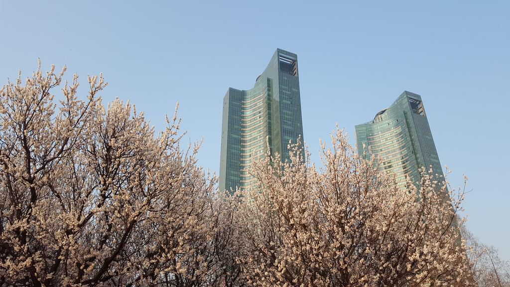 Seoul Forest Guesthouse Екстериор снимка